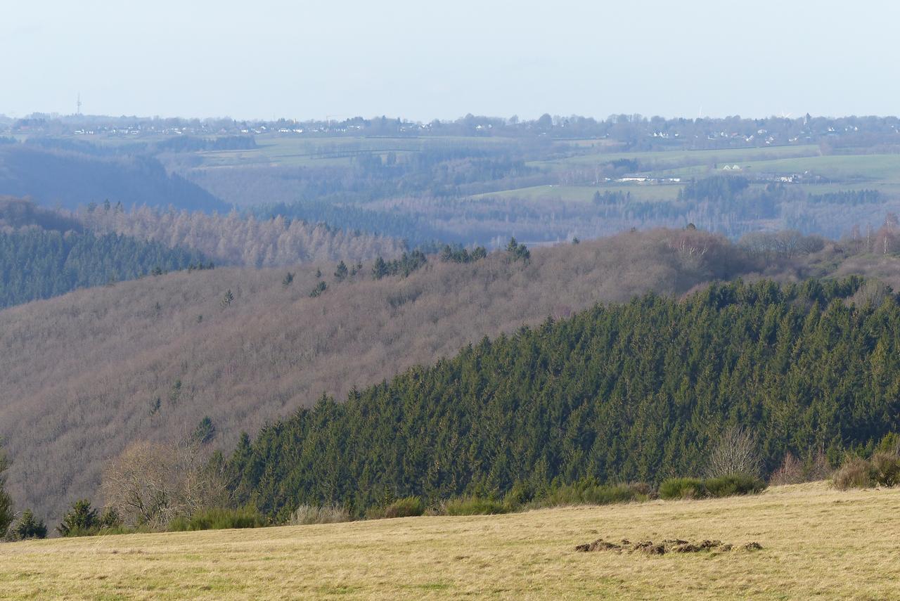 Chalets am National Park Eifel Schleiden Kültér fotó